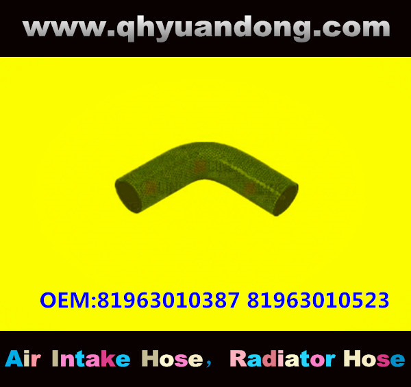 TRUCK SILICONE HOSE GG OEM:81963010387 81963010523