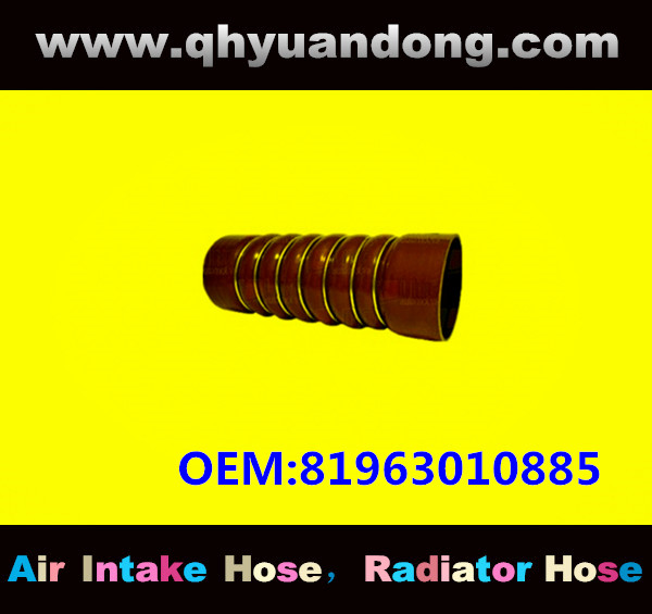 TRUCK SILICONE HOSE GG OEM:81963010885
